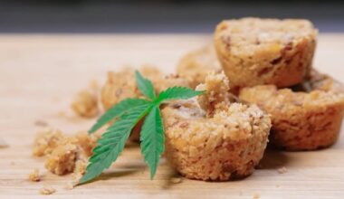 How Long Do Edibles Stay In Your System?